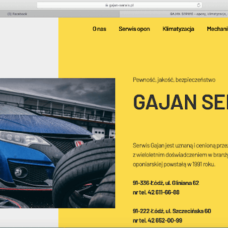 Strona WWW, Google - Gajan Serwis